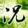 司机关门致老人离世